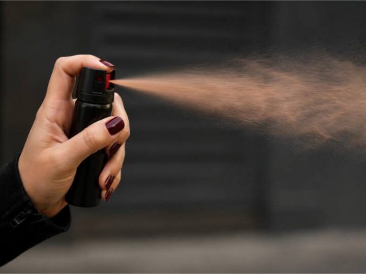 Relatora na Câmara, Gisela vê sanção da lei do spray de pimenta como avanço na proteção às mulheres