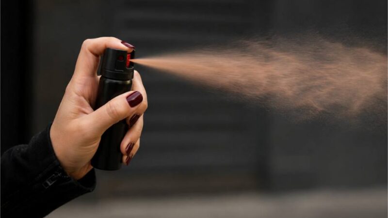 Relatora na Câmara, Gisela vê sanção da lei do spray de pimenta como avanço na proteção às mulheres