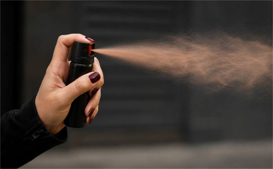 Relatora na Câmara, Gisela vê sanção da lei do spray de pimenta como avanço na proteção às mulheres